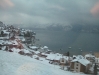img_1446 img_1446