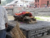 pashupatinath-temple-women-cremated