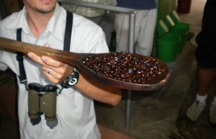Post - Coffee tour This tour shows the whole coffee making process, including the roasting - shown here