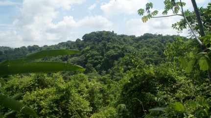 Post - Manuel Antonio National Park A beautiful national park is only a short walk away from the beach in Manuel Antonio
