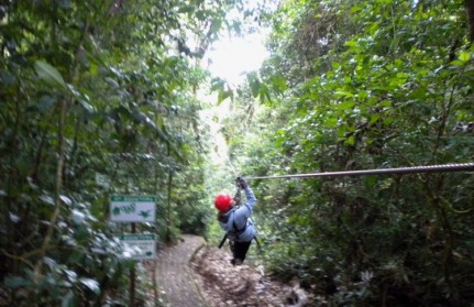 Post - Zip lining New Zip lining through the rainforest is WICKED fun....