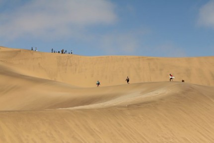 Sand boarding People walking the large dune to then hoon down it!