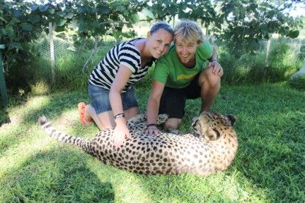 Us and the cheetah <p>We enjoyed these moments with these more habitituated cheetahs...</p>