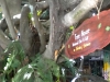 dscn0572