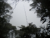 dscn0611