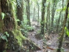 dscn0612