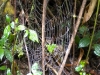 dscn0613