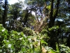dscn0618