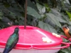 dscn0624