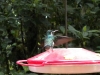 dscn0632