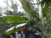 dscn0641