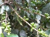 dscn0643