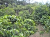 dscn0647