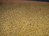 dscn0648
