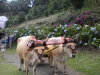 dscn0662
