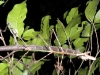 dscn0697