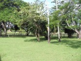 SDC11444