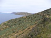 Isle de Sol - Agriculture